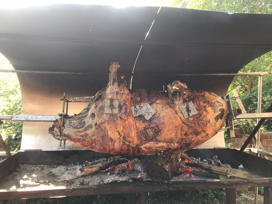 Galloway Ochse vom Drehspieß - DER KLEINE BERGMANN